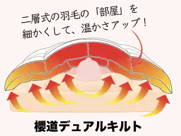 櫻道デュアルキルトの構造図。二層式の羽毛の「部屋」を細かくして温かさアップ