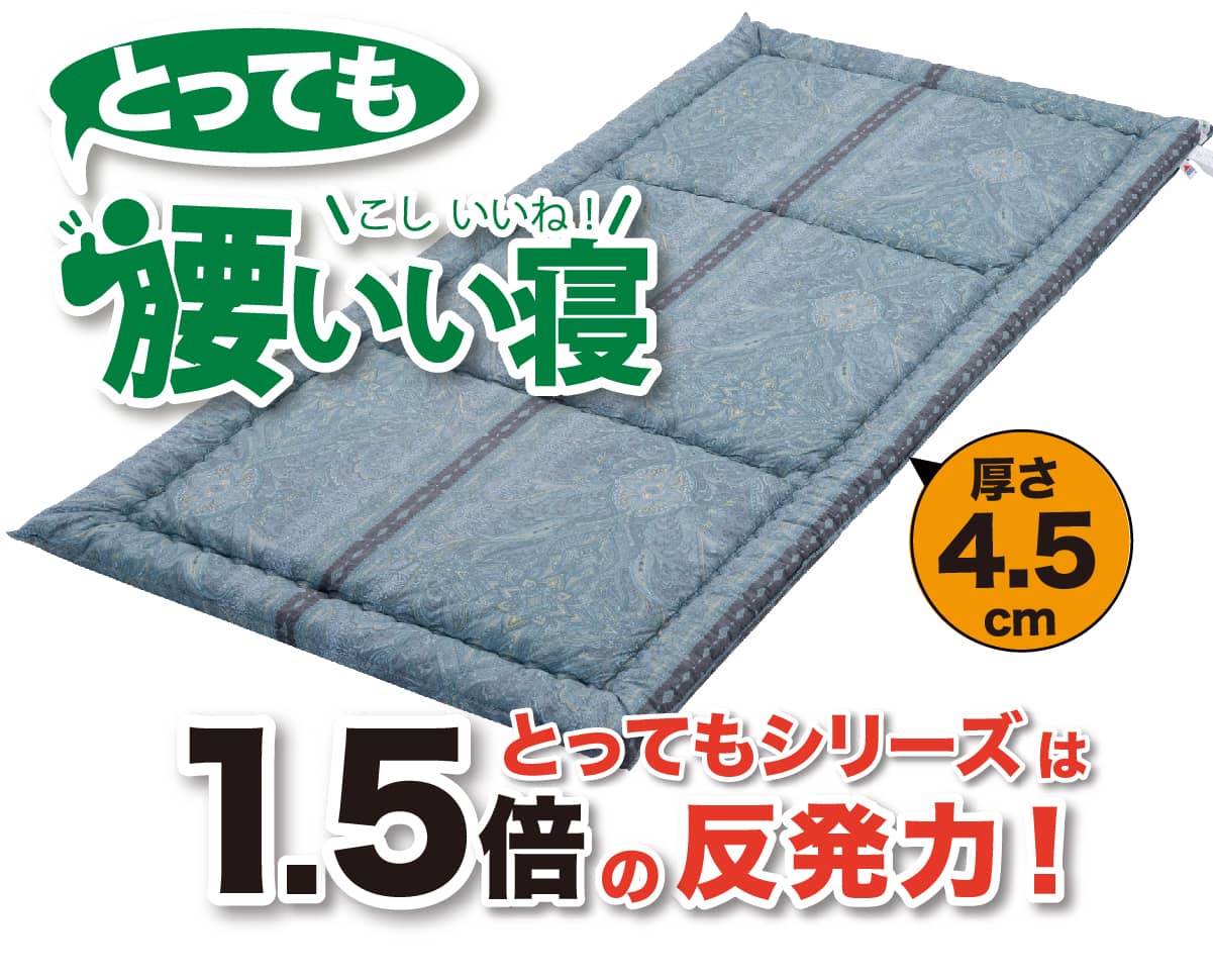 3週間無料お試しトライアル 「とっても腰いい寝」の構造 3週間無料お試しトライアル 敷布団「とっても腰いい寝」