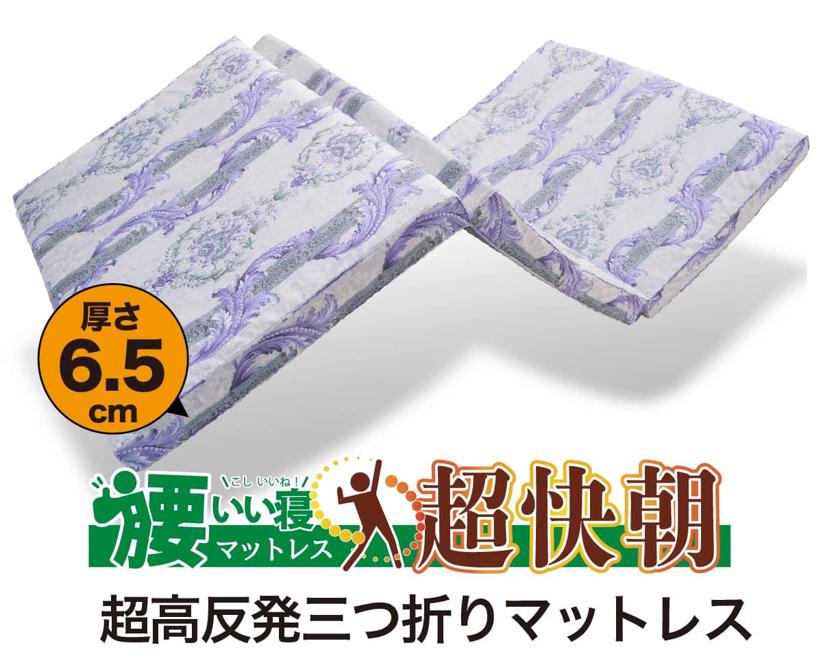 3週間無料お試しトライアル 敷布団「腰いい寝超快朝」 3週間無料お試しトライアル 敷布団「腰いい寝 超快朝」